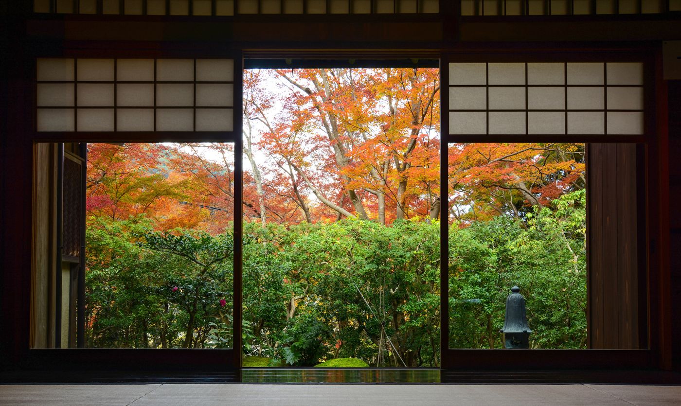 Tea room opening onto autumn foliage